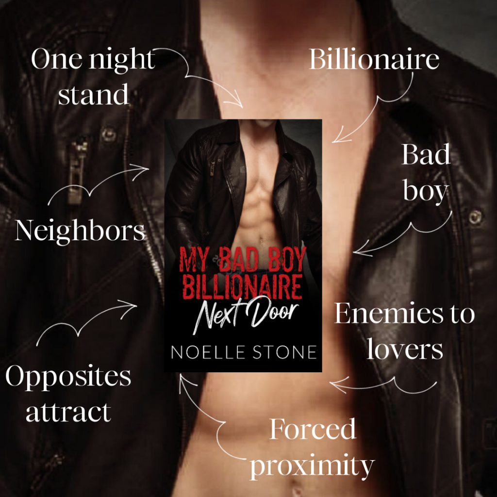 My Bad Boy Billionaire Next Door Trope Graphic by Noelle Stone