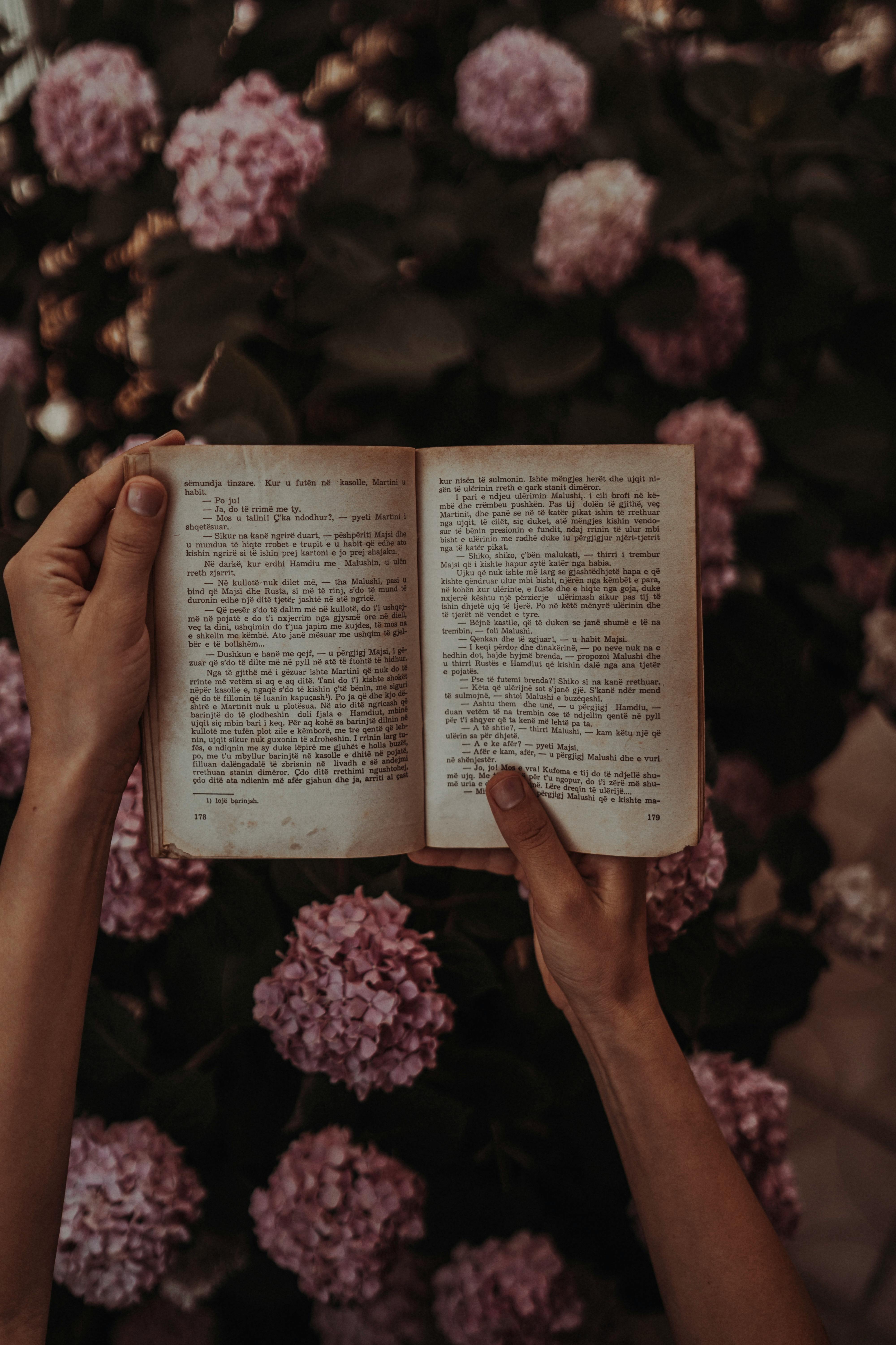 About Romance Author Noelle Stone